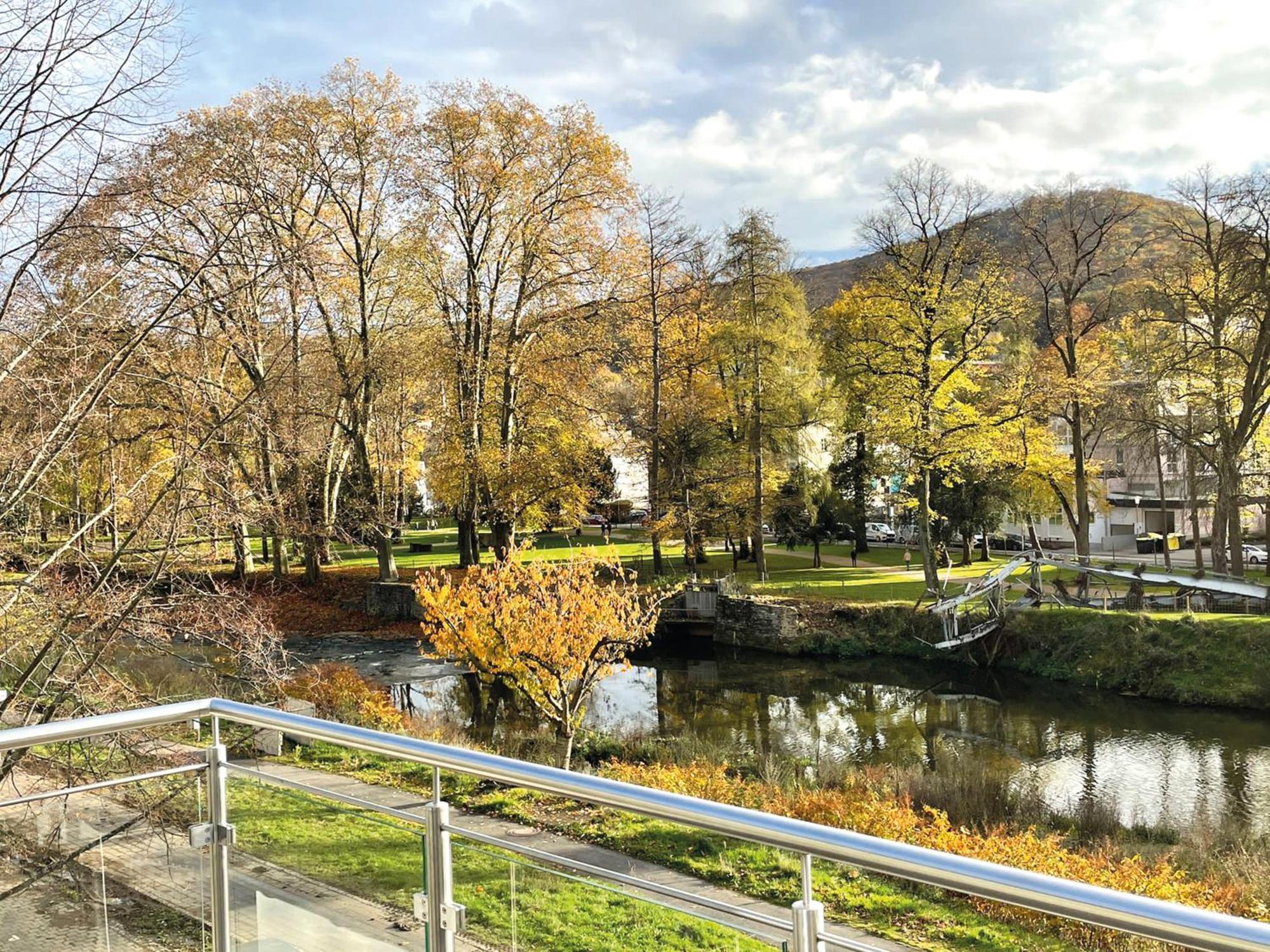 Exklusive Wohnung Mit Ahrblick 2 Bad Neuenahr-Ahrweiler Luaran gambar